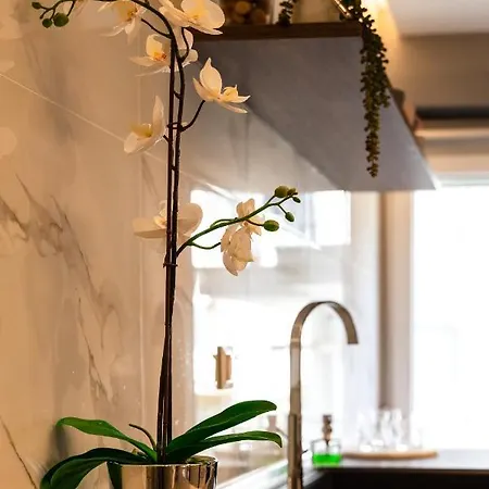 Cozy Modern Inside The Center Apartamento *